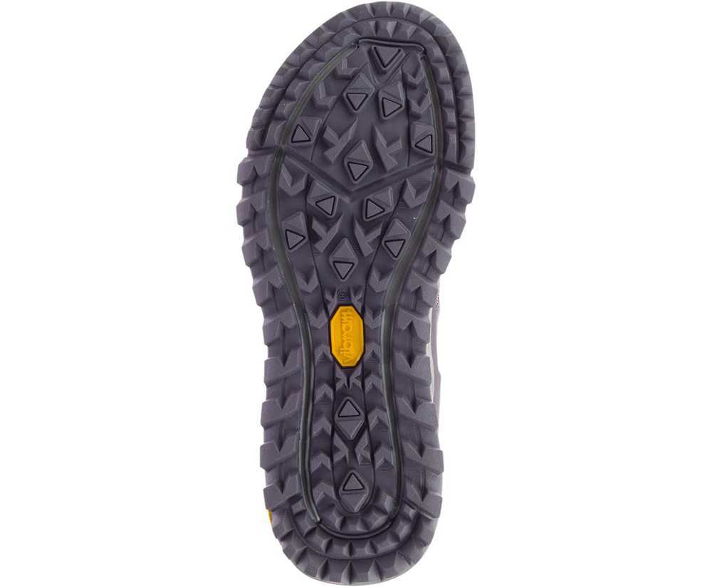 Tenis Senhora - Merrell Antora - Roxo - SXY678190